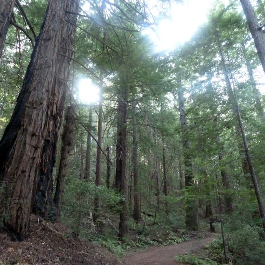 Sam McDonald County Park