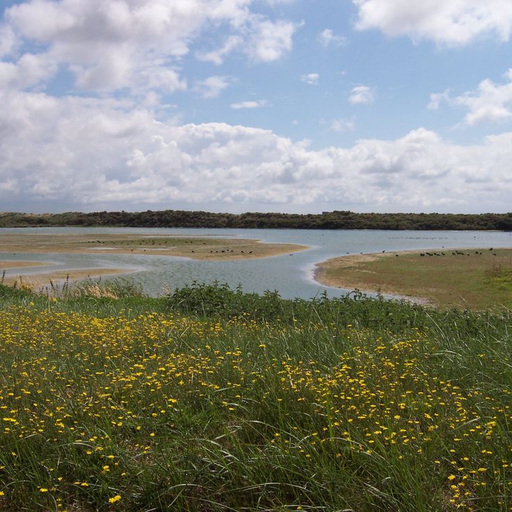 Parco di Marquenterre