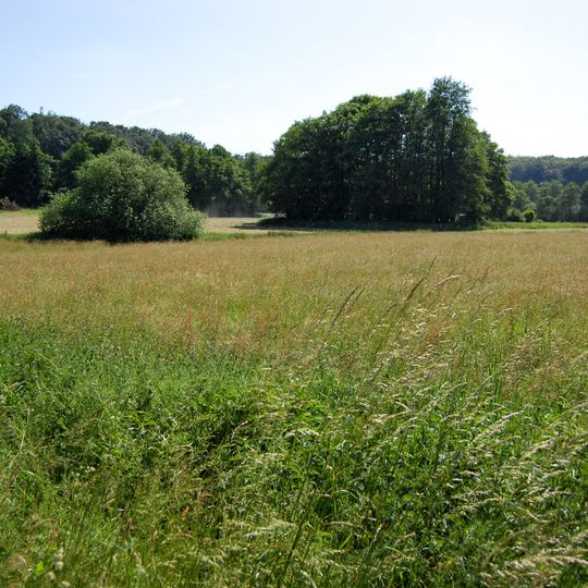 Naturschutzgebiet Münchswiesen bei Frischborn
