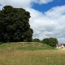Asthall Barrow: an Anglo-Saxon burial mound 100m SSW of Barrow Farm