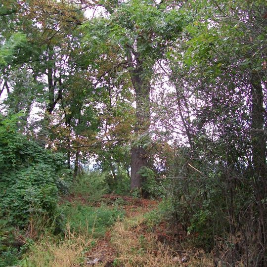 Kaštieľ a park, park