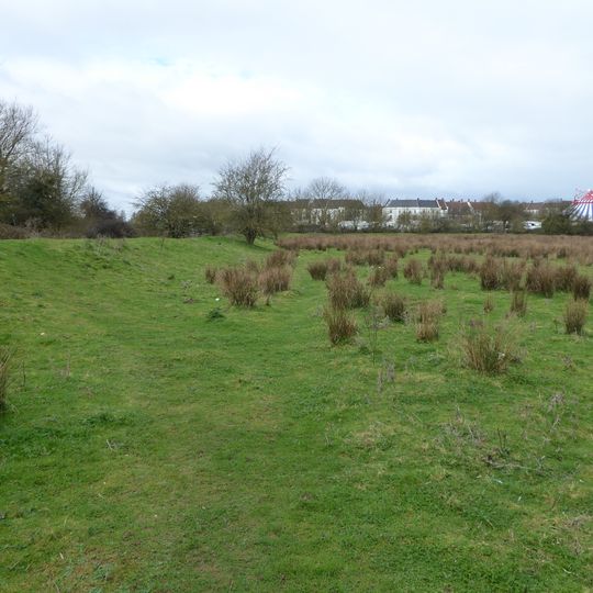 Duston Mill Meadow