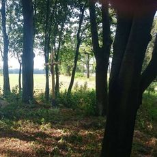 Kříž západně od Chabrovic u rozcestí