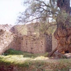 Wari Willka