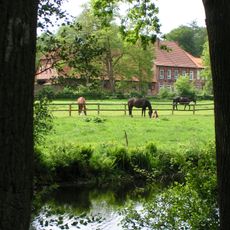 Waldungen bei den Gütern Welpe und Füchtel