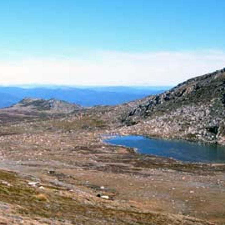 Nationaal park Kosciuszko