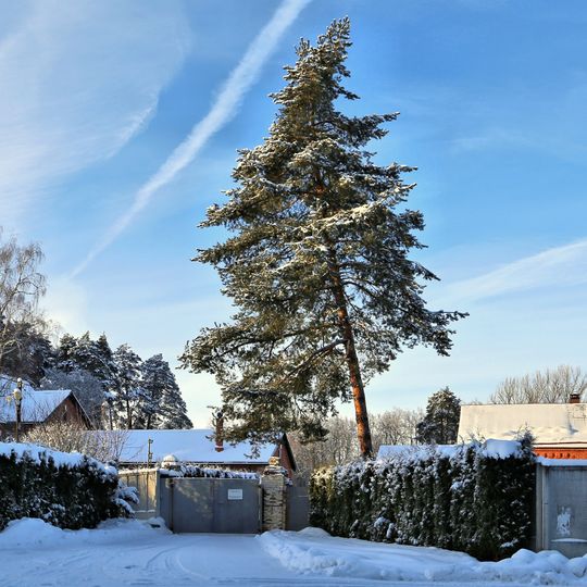 Усадьба Грузинских )