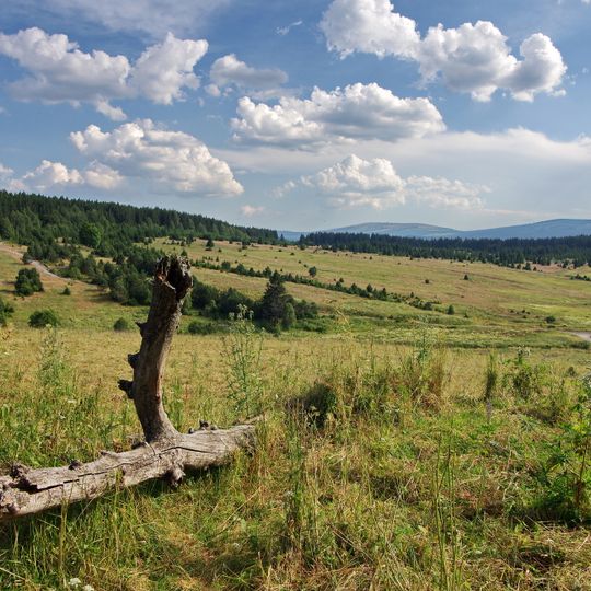 Zhůřská hnízdiště