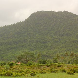 Parque nacional de Ream