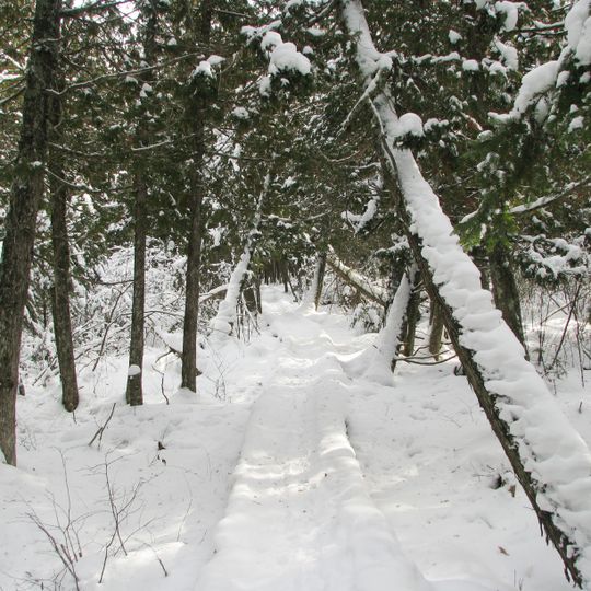 Brule River State Forest