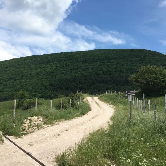 Riserva naturale statale Gola del Furlo