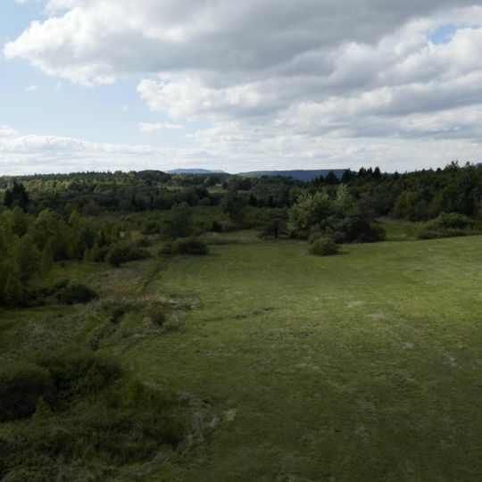 Schwarzes Moor in der Röhn