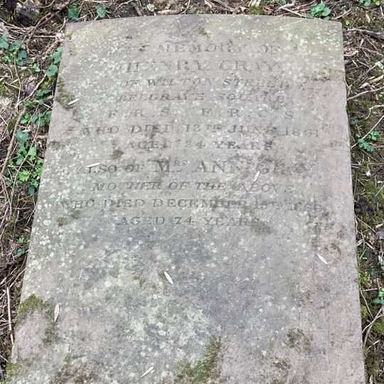 Monument To Henry Gray