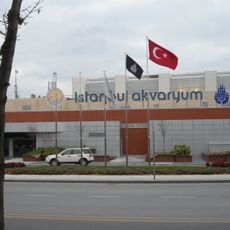 Istanbul Aquarium