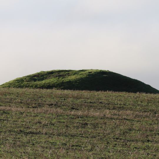 Galjebacken, Stejlebacken