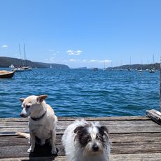 Clareville Beach