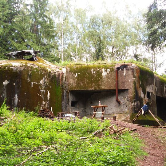 T-S 65 U buku casemate