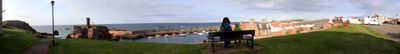 Panoramic View 0