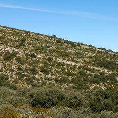 Feixes de la Roca Alta