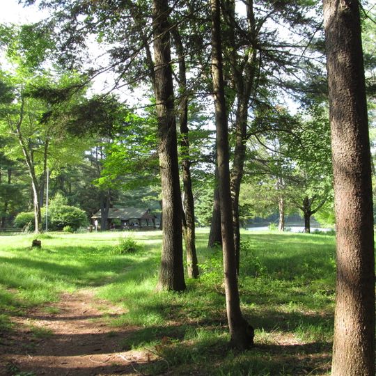 Brimfield State Forest