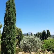 Terrain des peintres