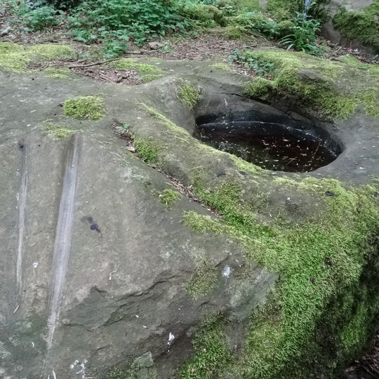Polissoir du bois de la Guigneraie