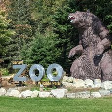 Garlyn Zoo