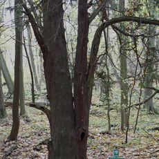 Nature reserve Cisy Staropolskie