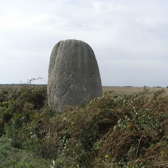 Pierre levée de la Bretaudière