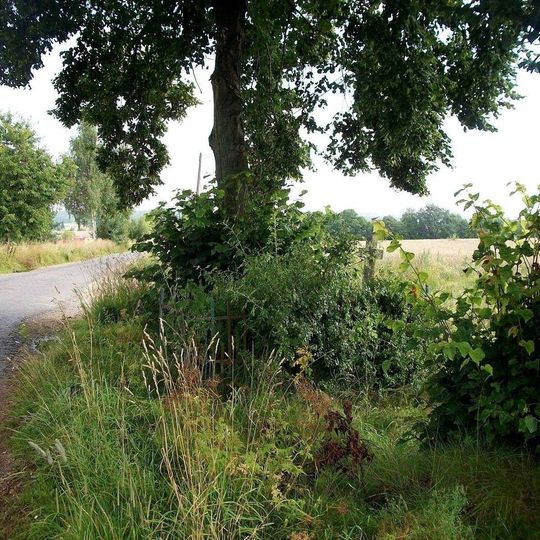 Kříž jižně od Puclic u cesty do Křenov