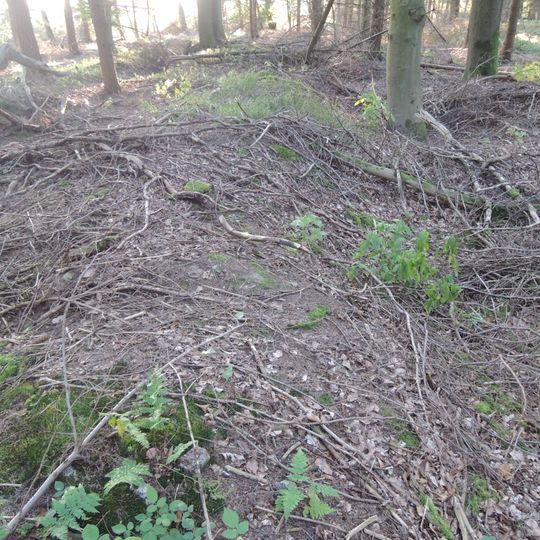 Großsteingrab Bornsen Bienenbüttel 1