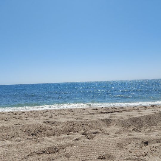 Playa del Palmeral