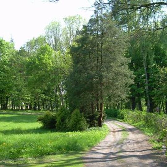 Park dworski - ukształtowanie terenu, drzewostan, układ wodny i drogowy