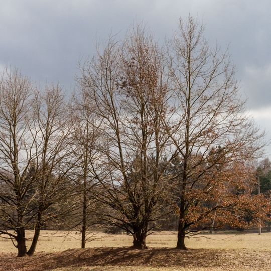 Wasserwerk Erlenstegen