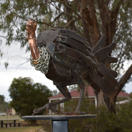 Tungamah Brush Turkey