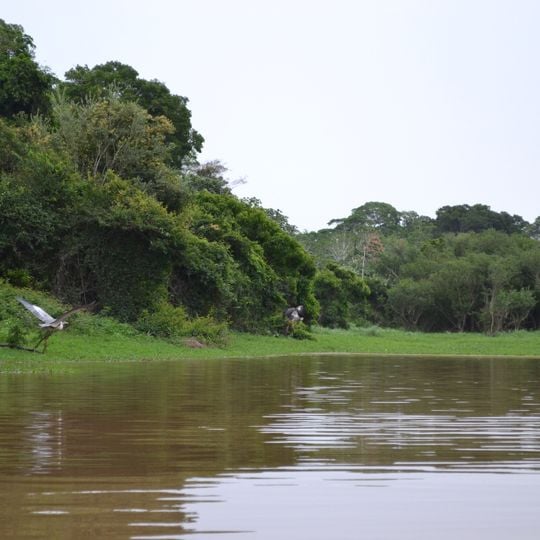 Provincia di Cercado