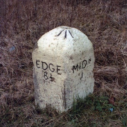Milestone 200 Metres East Of Track To Stanhope Gate