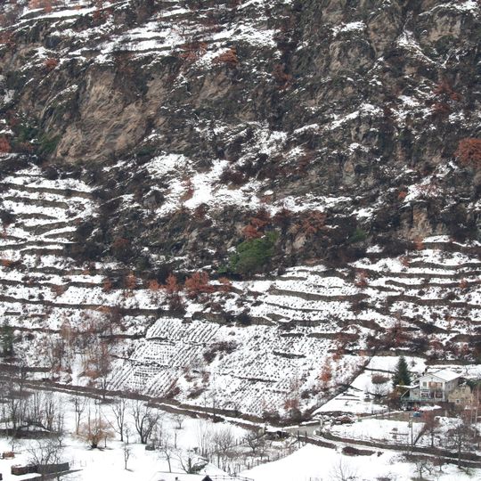 Arnodera - Colle Montabone