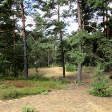 Dünen im Seeholz NW von Offenstetten