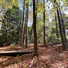 Woodlands Garden