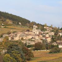La Roche-Vineuse