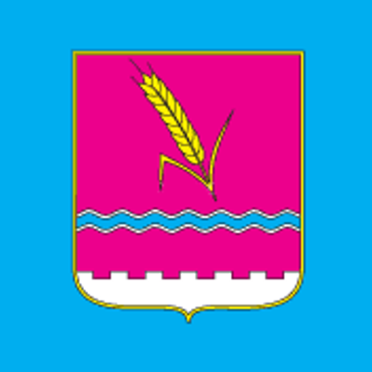 Raión de Velyka Pysarivka