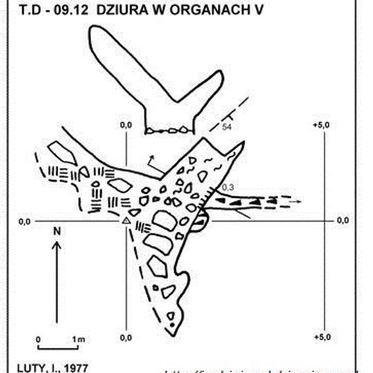 Dziura w Organach V