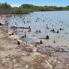 Complejo endorreico de El Puerto de Santa María