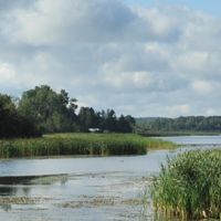 Municipalità regionale della contea di Témiscamingue