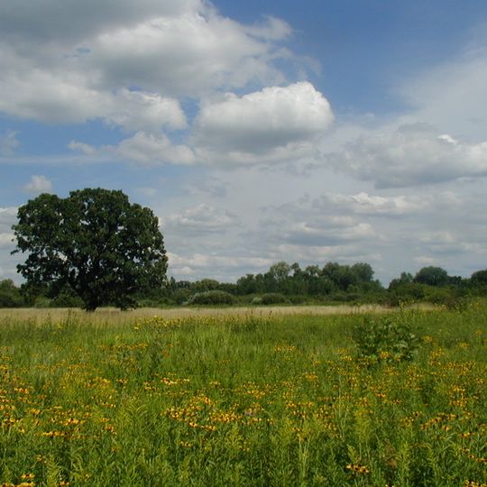 Governor Nelson State Park