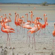 Little Inagua National Park