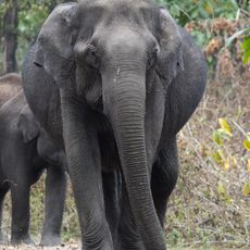Nagarhole National Park