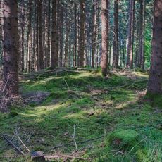 Field monument in Waal (D-7-8030-0142)