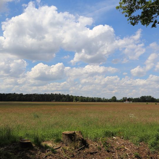 Finkenfeld und Wiechholz